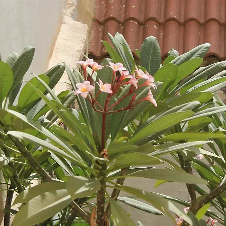 Apartment Casa La Victoria Malaga